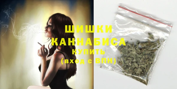 МДПВ Пестово